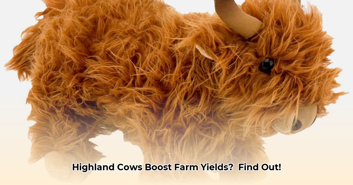 highland-cow-plush-tractor-supply
